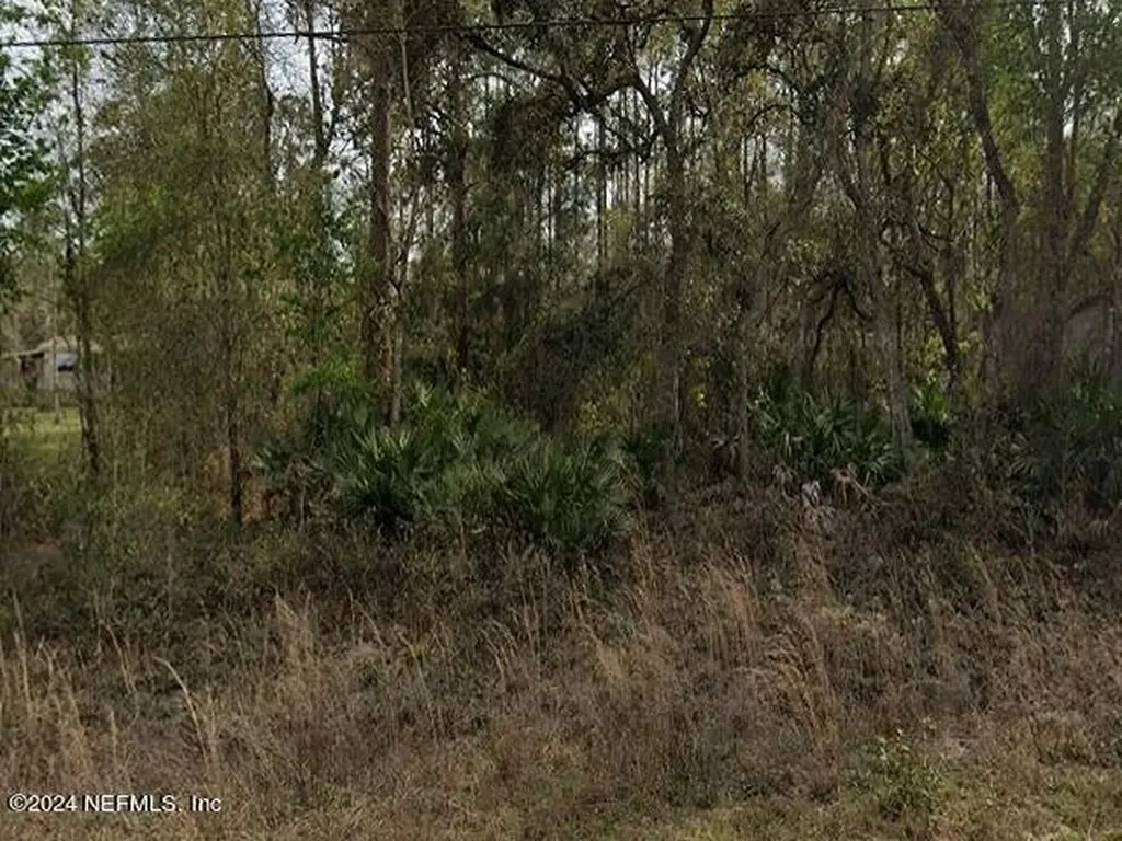 0 Britt Street Interlachen FL 32148