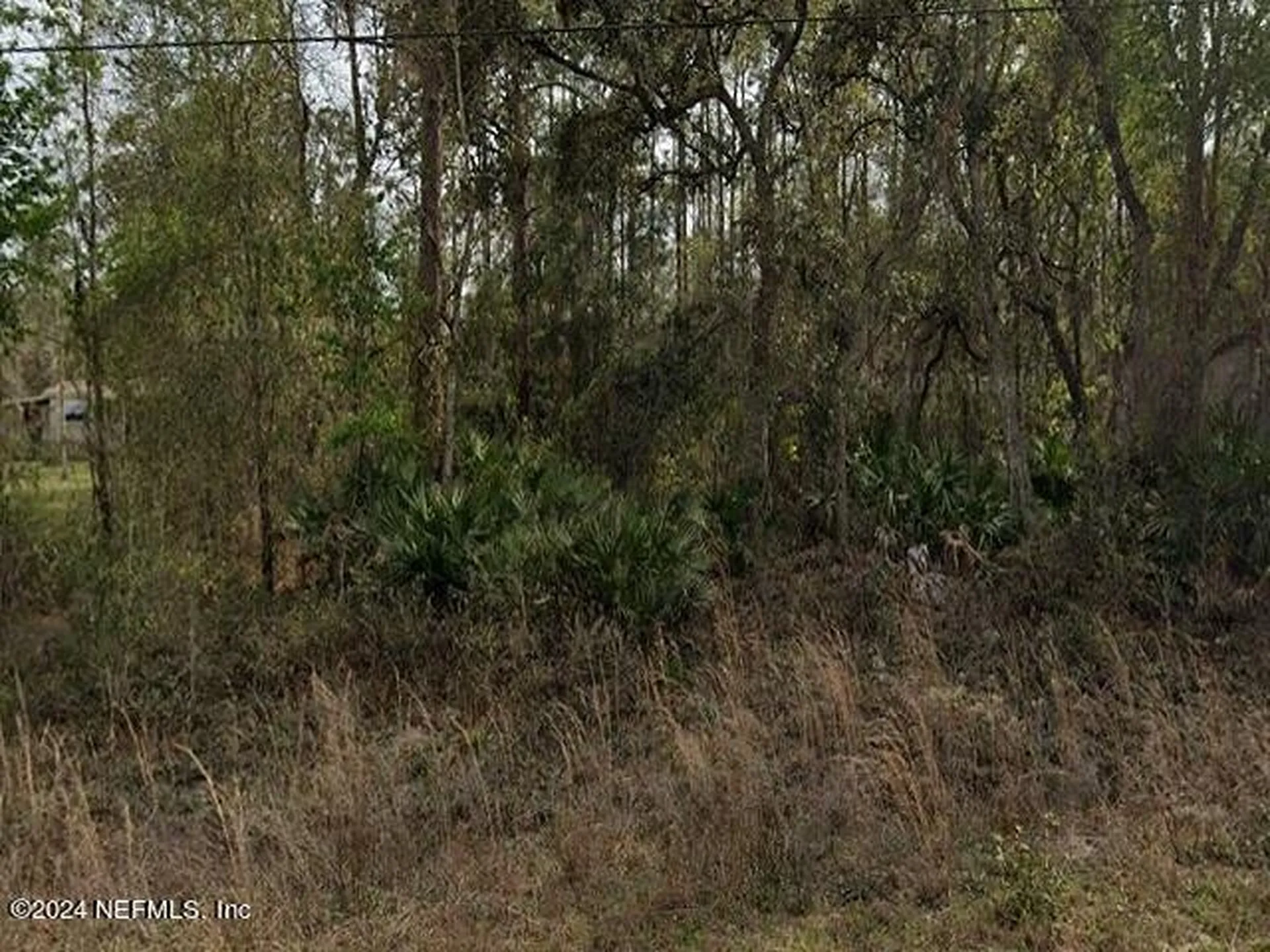 0 Britt Street Interlachen FL 32148