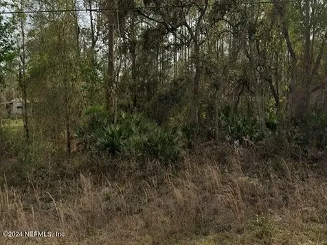 0 Britt Street Interlachen FL 32148
