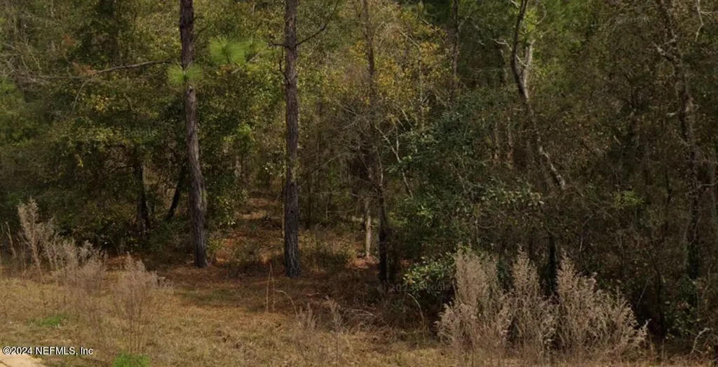 0 Michael Avenue Interlachen FL 32148