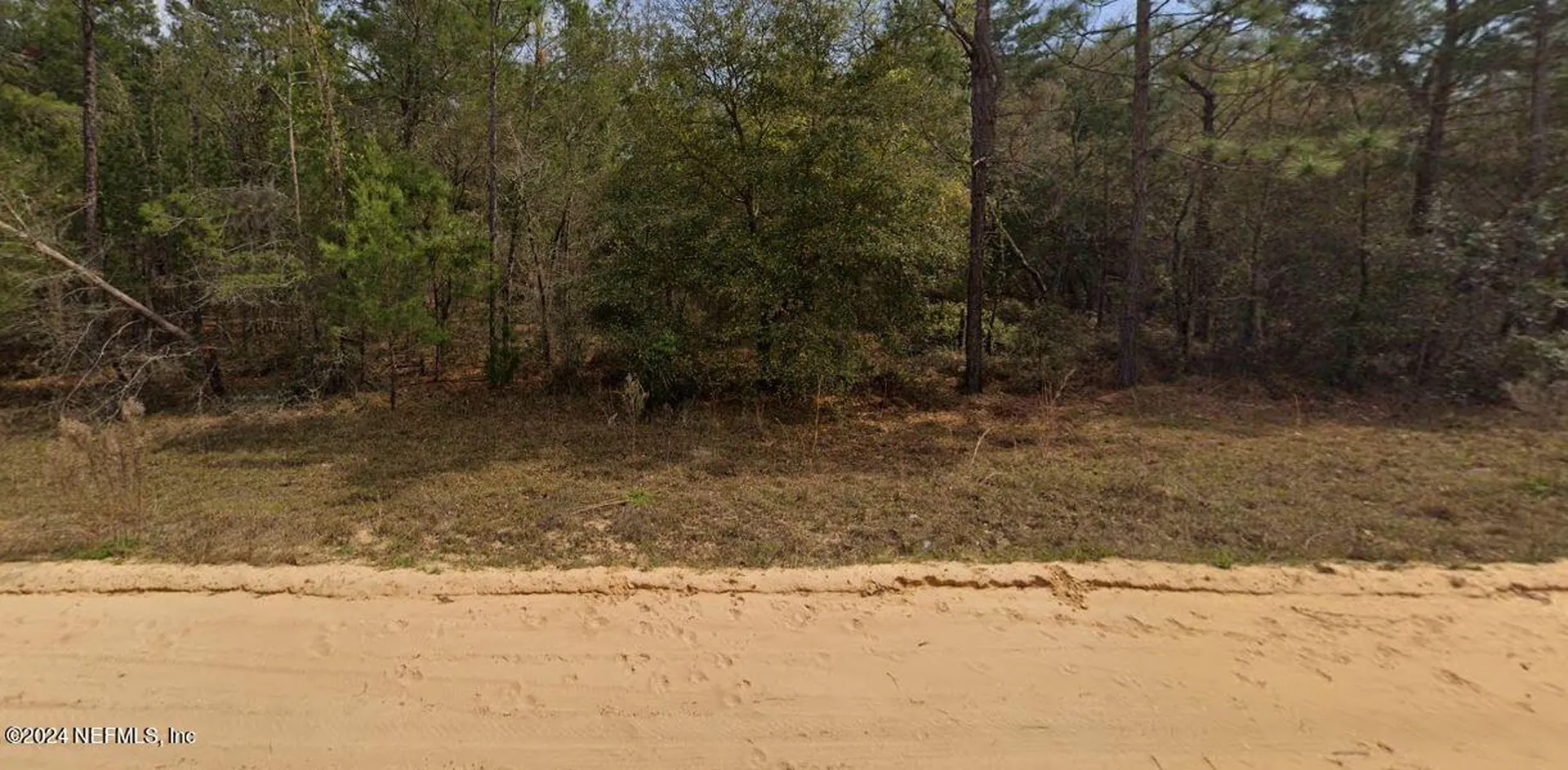 0 Michael Avenue Interlachen FL 32148