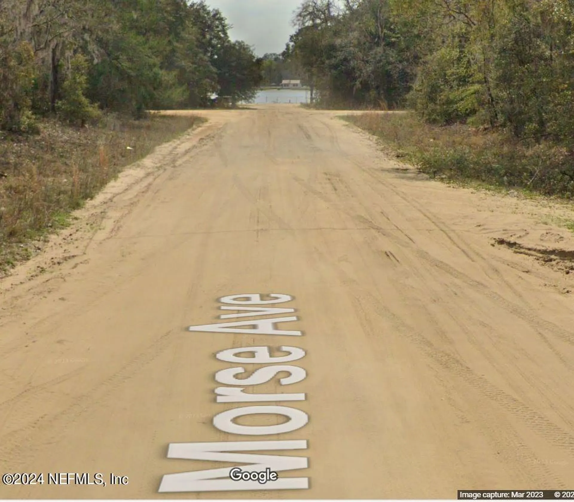 0 Morse Avenue Interlachen FL 32148