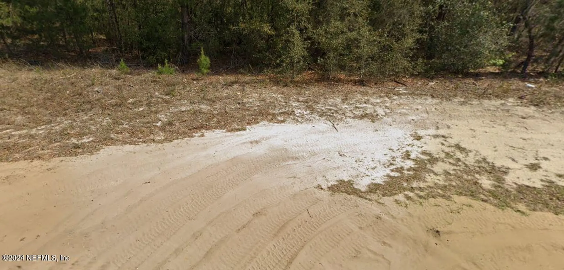 0 Morse Avenue Interlachen FL 32148