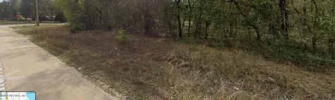0 Marion Avenue Interlachen FL 32148