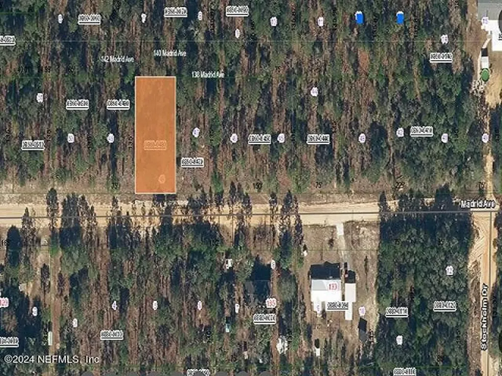 138 Madrid Avenue Interlachen FL 32148