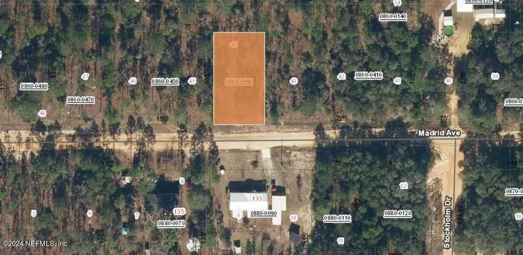 132 Madrid Avenue Interlachen FL 32148
