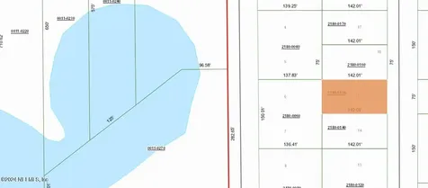 0 Dunham Avenue Interlachen FL 32148