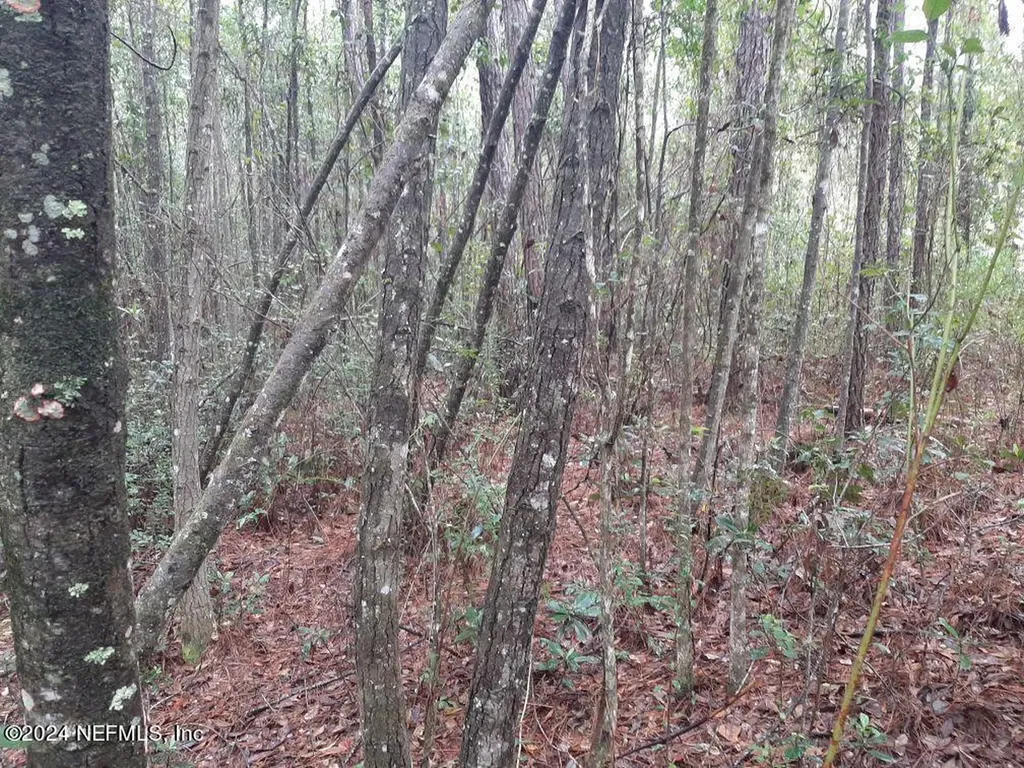 2373 Broom Court Middleburg FL 32068