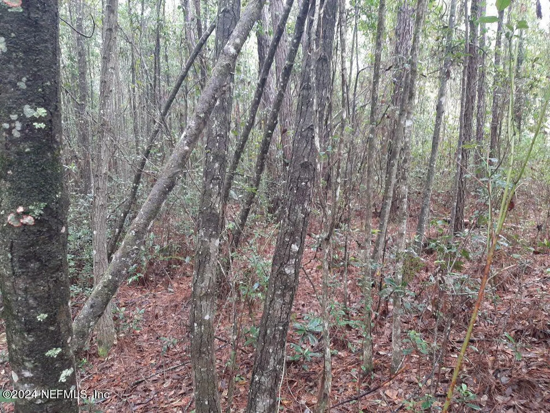 2373 Broom Court Middleburg FL 32068