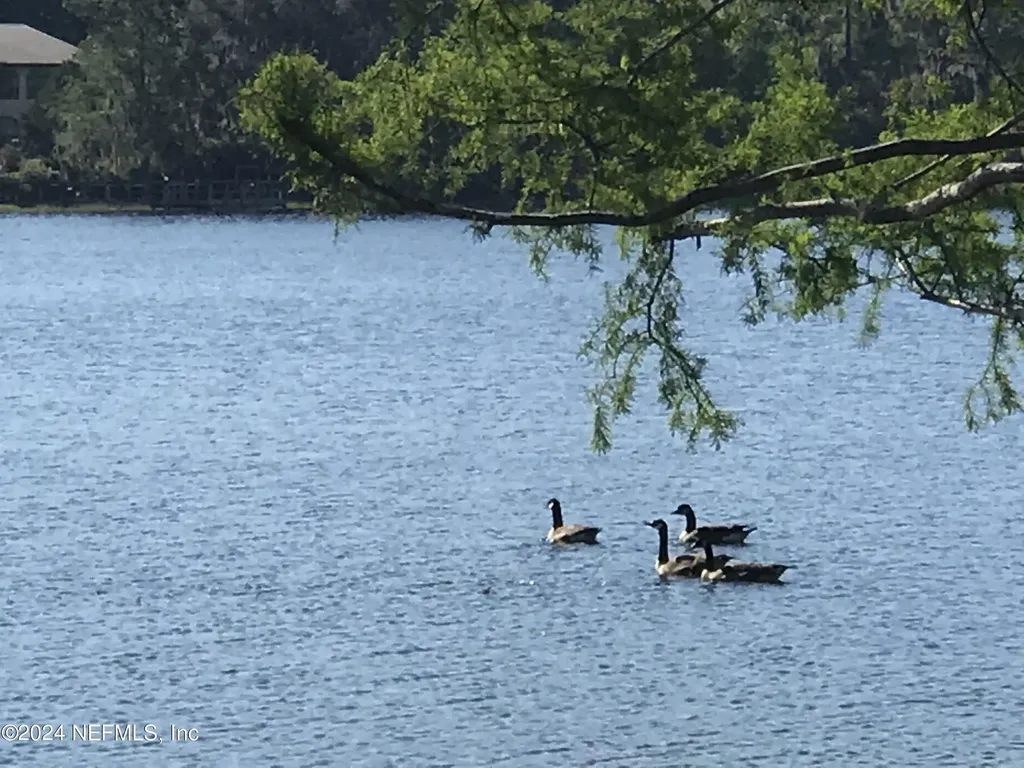 Xx Simpson Drive Interlachen FL 32148