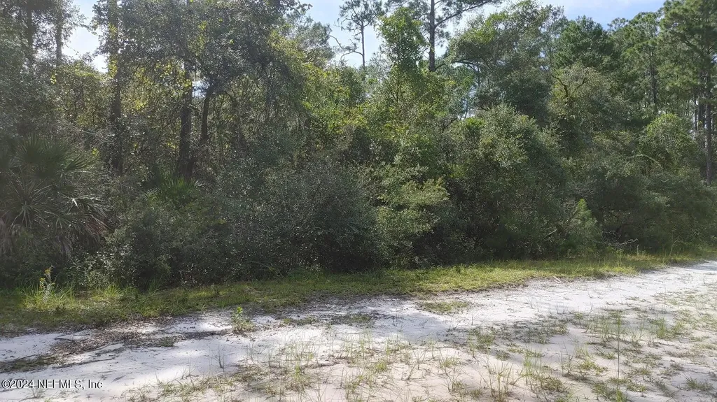209 Ocala Court Georgetown FL 32139