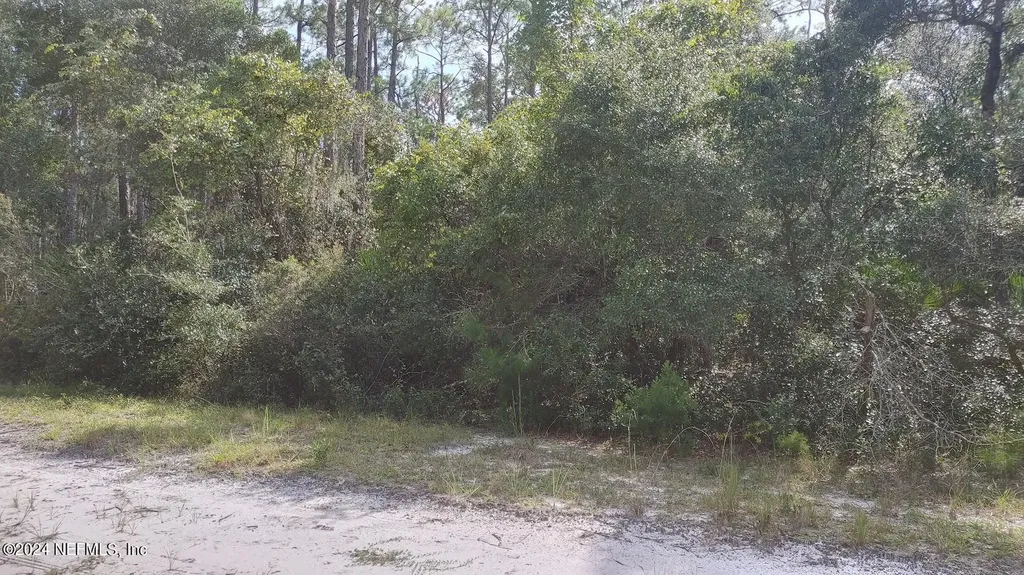 209 Ocala Court Georgetown FL 32139