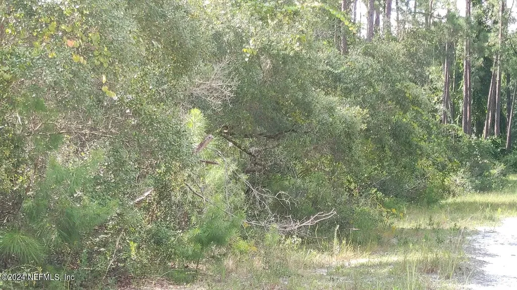 209 Ocala Court Georgetown FL 32139