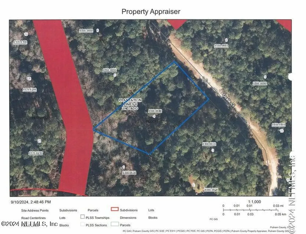 209 Ocala Court Georgetown FL 32139