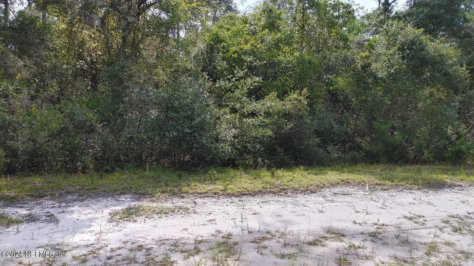 209 Ocala Court Georgetown FL 32139