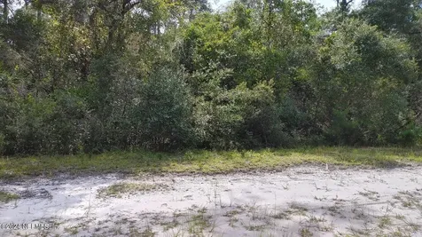 209 Ocala Court Georgetown FL 32139