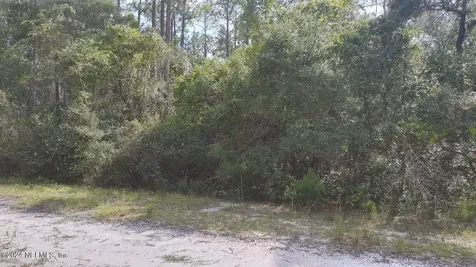 209 Ocala Court Georgetown FL 32139