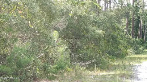 209 Ocala Court Georgetown FL 32139