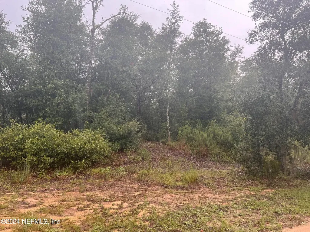 0 California Avenue Interlachen FL 32148