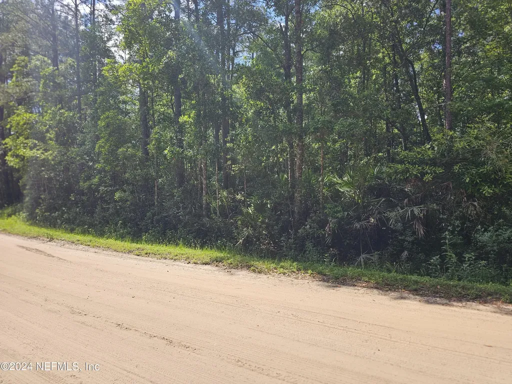 4930 Chickpea Street Middleburg FL 32068