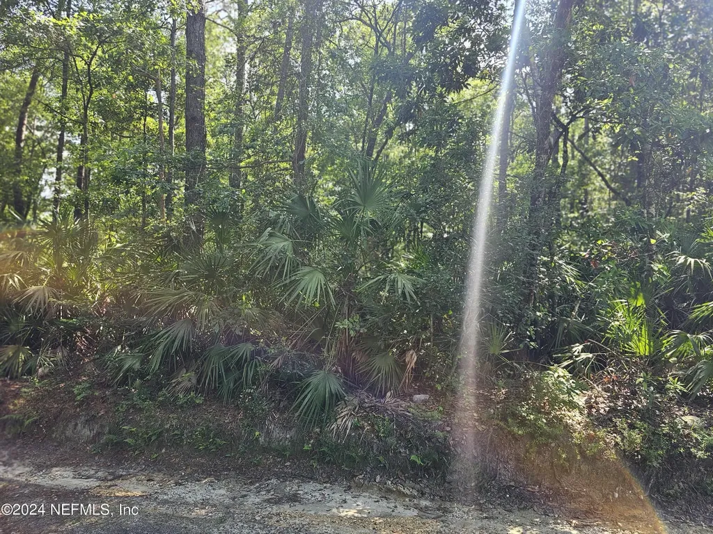 4930 Chickpea Street Middleburg FL 32068