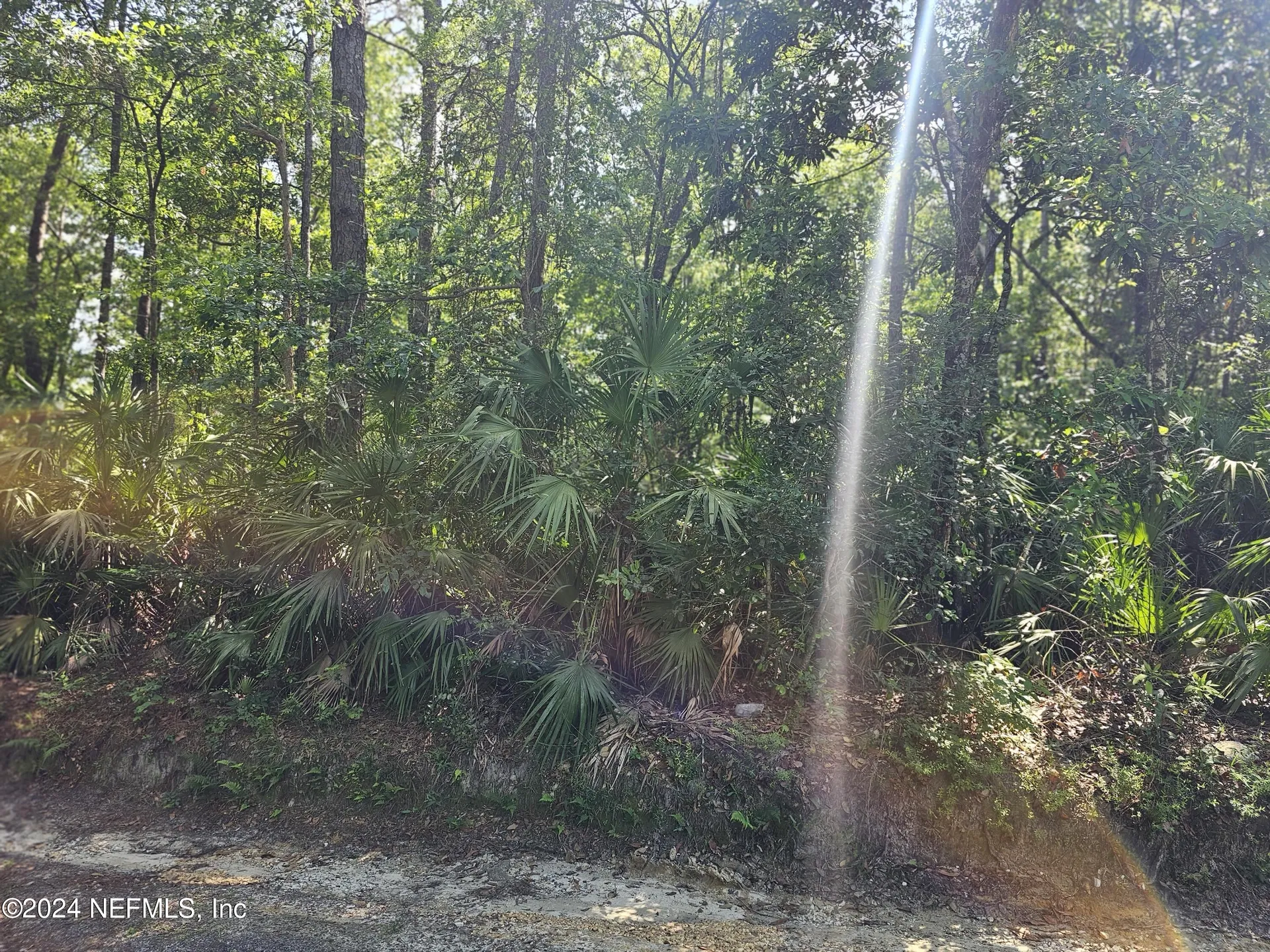 4930 Chickpea Street Middleburg FL 32068