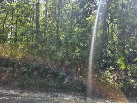 4930 Chickpea Street Middleburg FL 32068