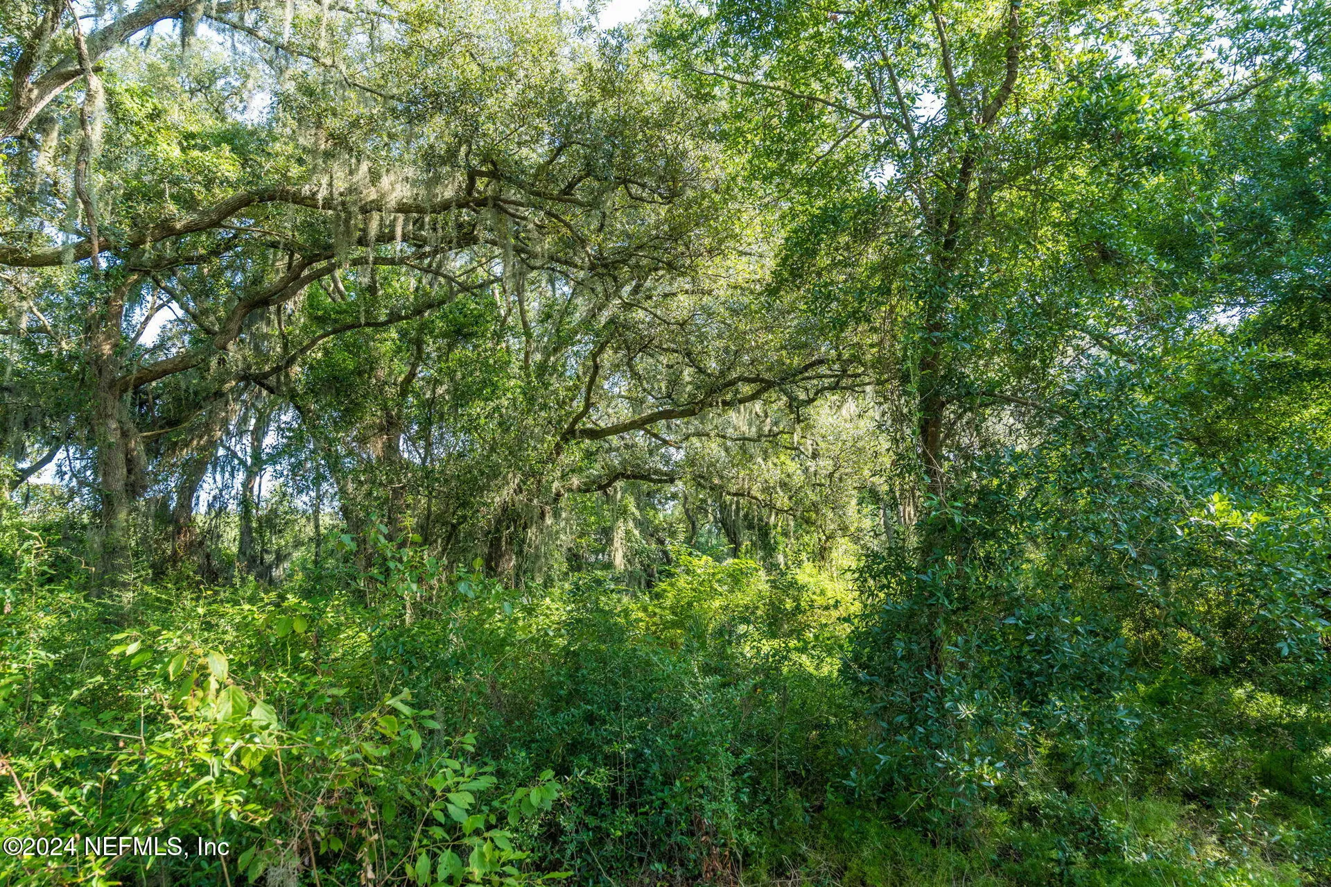 0 Atlantic Avenue Fernandina Beach FL 32034