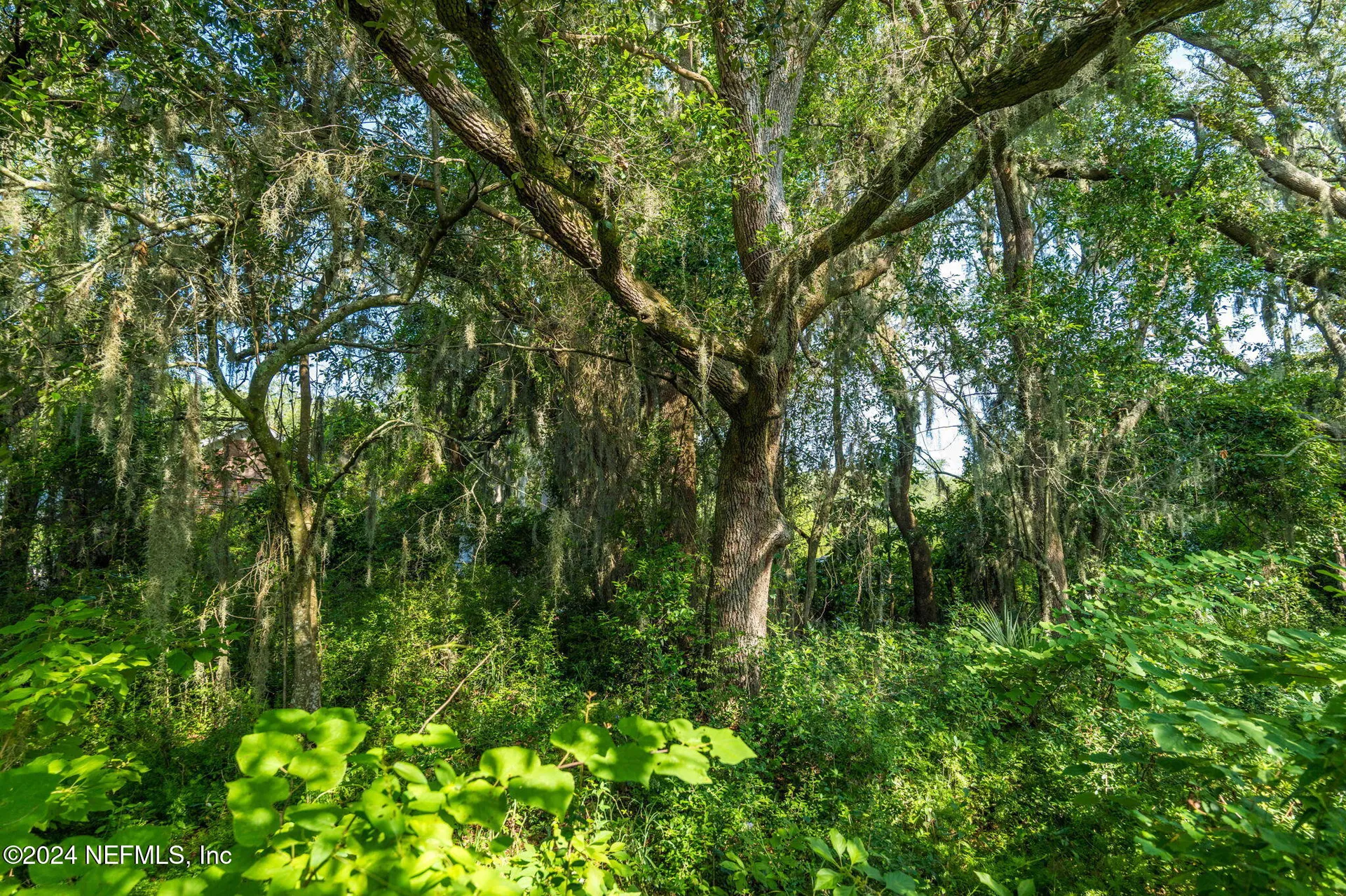 0 Atlantic Avenue Fernandina Beach FL 32034