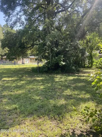 0 Evergreen Avenue Jacksonville FL 32206