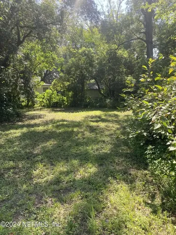 0 Evergreen Avenue Jacksonville FL 32206