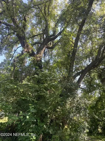 0 Evergreen Avenue Jacksonville FL 32206