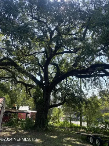 0 Evergreen Avenue Jacksonville FL 32206