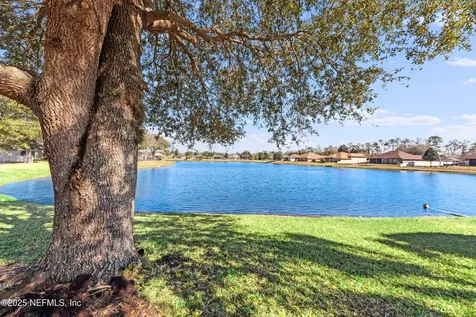 388 Martin Lakes Drive W Jacksonville FL 32220