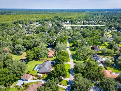 603 Chivas Court Orange Park FL 32073