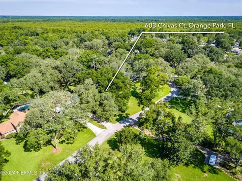 603 Chivas Court Orange Park FL 32073