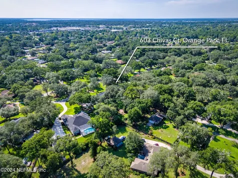 603 Chivas Court Orange Park FL 32073