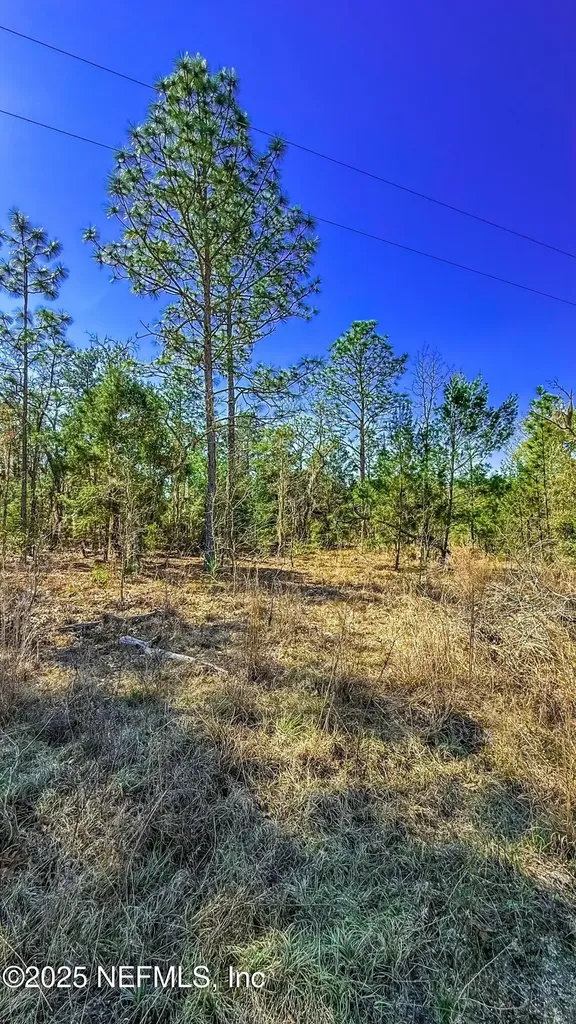 515 Interlachen Boulevard Interlachen FL 32148