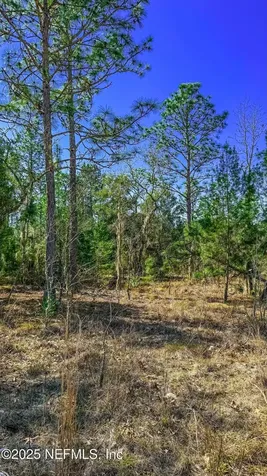 515 Interlachen Boulevard Interlachen FL 32148