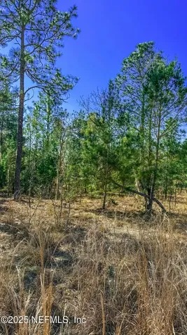 515 Interlachen Boulevard Interlachen FL 32148