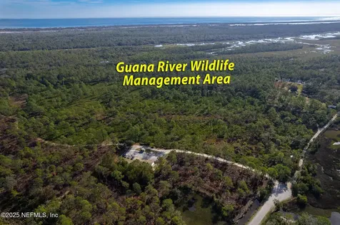 41 Rialto Drive Ponte Vedra FL 32081