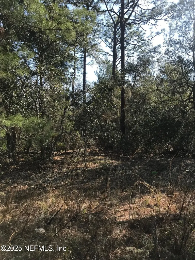 404 Mourning Dove Road Satsuma FL 32189