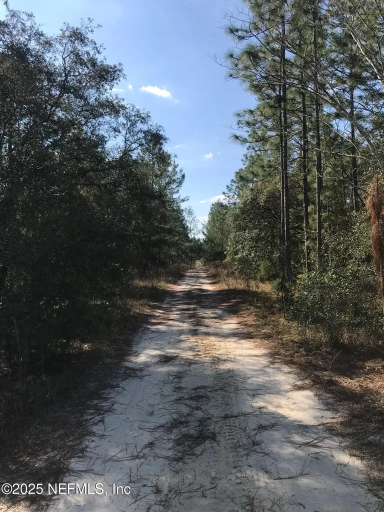 404 Mourning Dove Road Satsuma FL 32189
