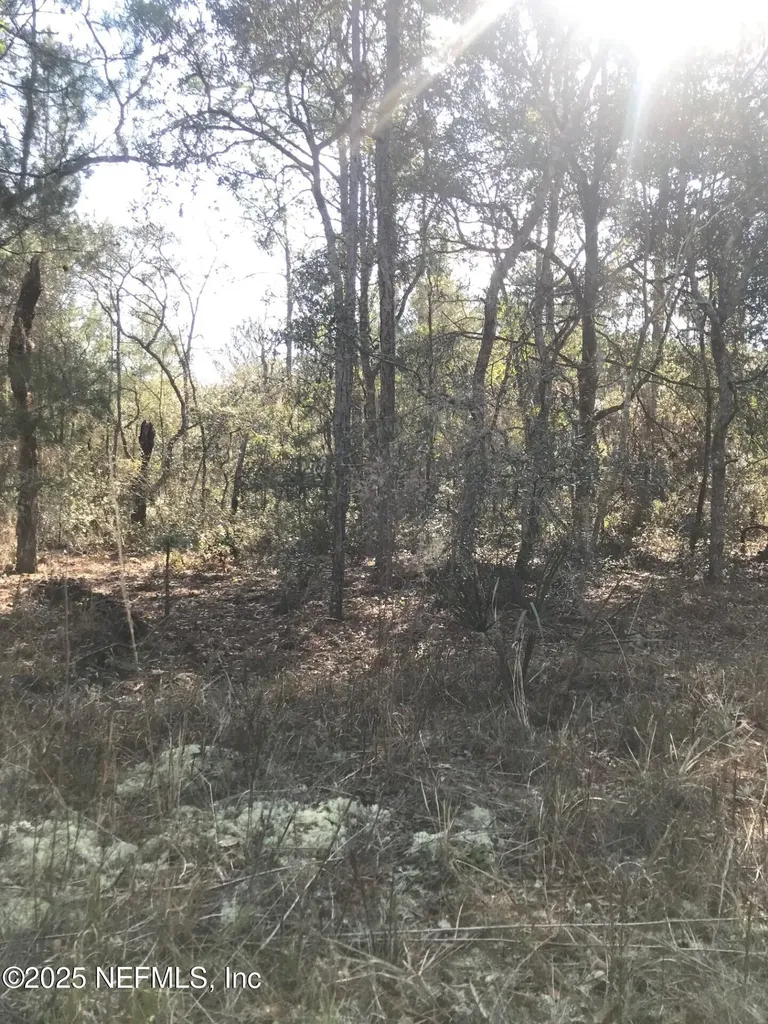 404 Mourning Dove Road Satsuma FL 32189