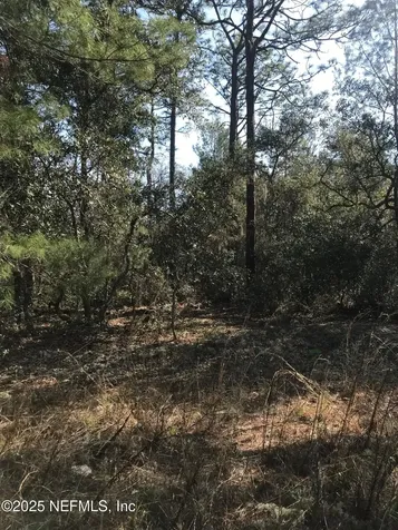 404 Mourning Dove Road Satsuma FL 32189