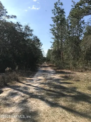 404 Mourning Dove Road Satsuma FL 32189