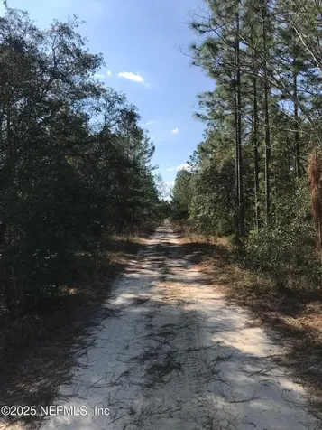 404 Mourning Dove Road Satsuma FL 32189