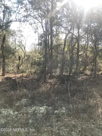 404 Mourning Dove Road Satsuma FL 32189