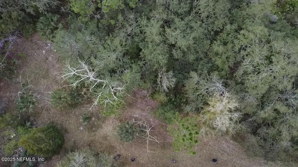 1252 Old Highway 17 Crescent City FL 32112