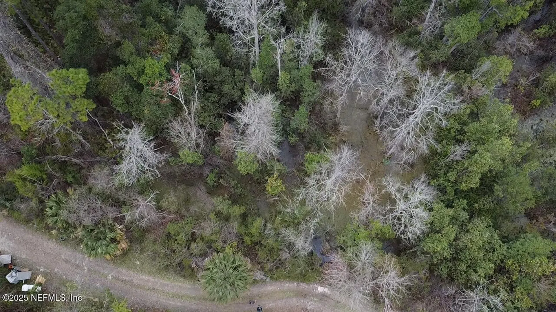 1252 Old Highway 17 Crescent City FL 32112